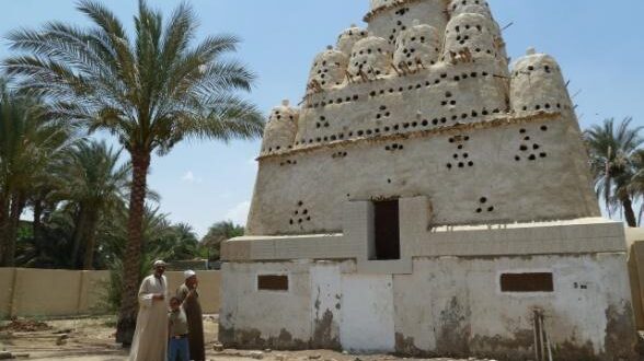 أنشطة مختلفة يمكن ممارستها فى دهشور.. اختيرت من أفضل وجهات السياحة الريفية