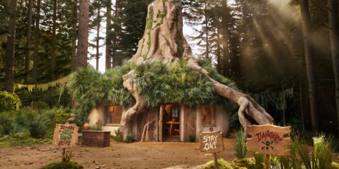 شركة تتيح منزلا مجانيا لقضاء العطلة مطابقا لمستنقع يشبه بيت شخصية "Shrek"