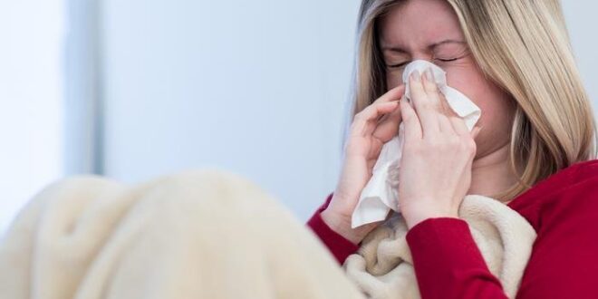 نزلة برد أم حساسية موسمية نتيجة تغير الفصول.. الأعراض توضح الفرق