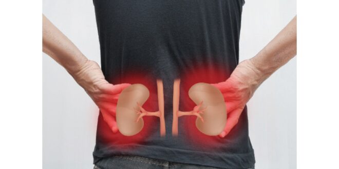 احذرها.. أطعمة ومشروبات تسبب اضطراب في عمل الكلى