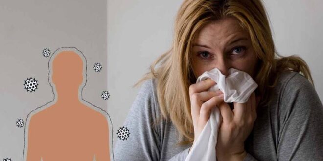 مع تقلبات الطقس.. 5 نصائح لتقوية جهازك المناعى وحمايته من الفيروسات