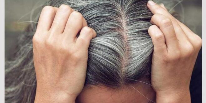 وصفات طبيعية لمقاومة الشيب المبكر.. من زيت جوز الهند لإكليل الجبل