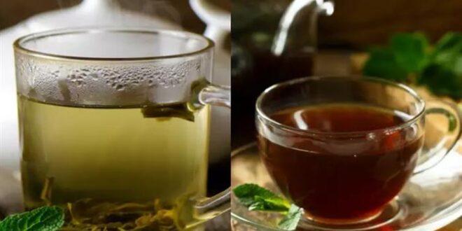 الشاي الأحمر Vs الأخضر- أيهما أفضل لصحة الكبد؟