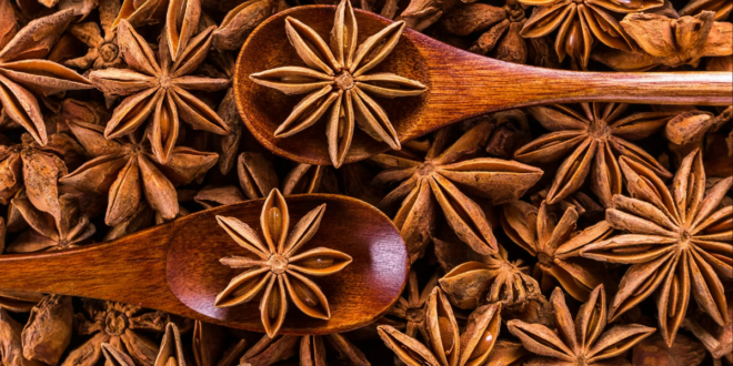 تعرف على الفوائد الصحية لليانسون النجمي