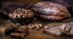 هل يمكنك تناول الشوكولاتة منتهية الصلاحية ؟