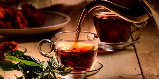 أخضر أو أسود.. تناول 3 فناجين شاي يوميا يكافح الشيخوخة