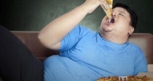 اليوم العالمي للسمنة.. هل أنت بدين أم تعانى من الوزن الزائد؟