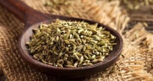 فوائد صحية متعددة لشرب اليانسون- هل تعرفها؟