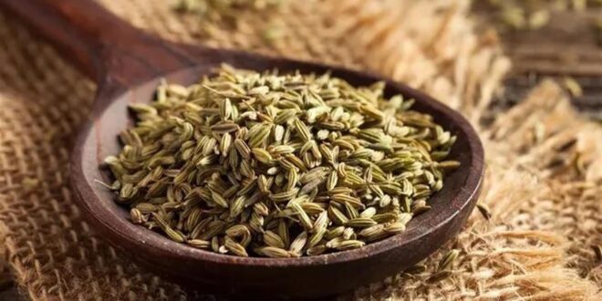 فوائد صحية متعددة لشرب اليانسون- هل تعرفها؟