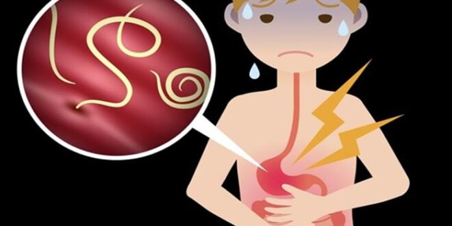 علاج الطفل من مشكلة ديدان الأمعاء