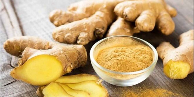 فوائد الزنجبيل كنز صحي قديم بتأثيرات معاصرة