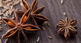 فوائد اليانسون والكمون مزيج طبيعي لصحة أفضل