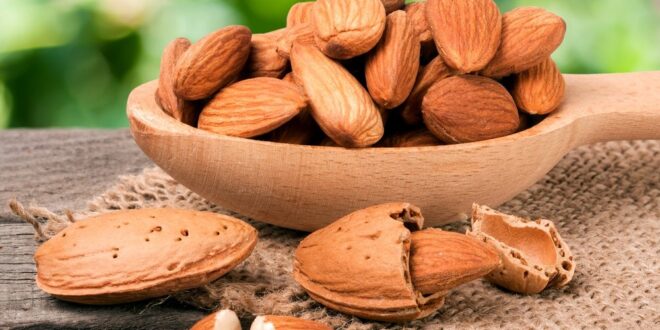 فوائد اللوز لصحة الجسم كنز غذائي لا غنى عنه