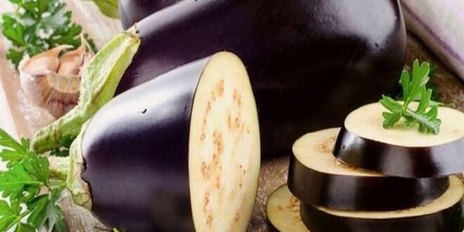 فوائد الباذنجان غذاء صحي غني بالفوائد