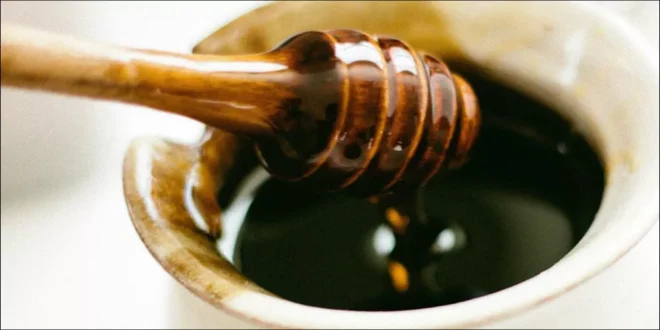فوائد العسل الأسود غذاء طبيعي وصحي