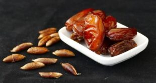 بذور التمر: كنز غذائي مهمل بفوائد صحية مذهلة