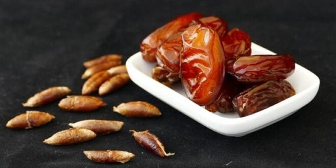 بذور التمر: كنز غذائي مهمل بفوائد صحية مذهلة