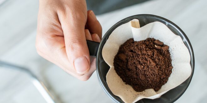 القهوة ليست فقط للمزاج: كيف تساعدك بقايا القهوة في طرد البعوض بفعالية؟