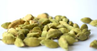 الهيل.. كنز عطري وفوائد صحية مذهلة