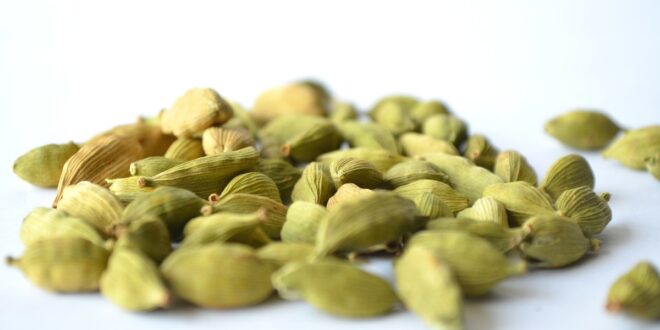 الهيل.. كنز عطري وفوائد صحية مذهلة