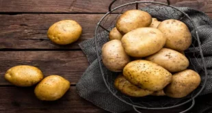 البطاطا غذاء شعبي غني بالفوائد الصحية والتنوع الغذائي