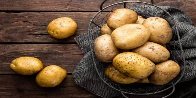 البطاطا غذاء شعبي غني بالفوائد الصحية والتنوع الغذائي
