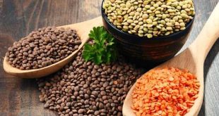 العدس كنز غذائي على مائدة الصحة