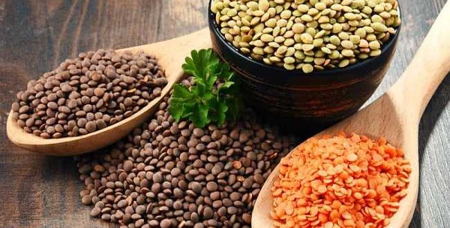العدس كنز غذائي على مائدة الصحة