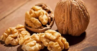 الجوز: كنز غذائي يعزز الصحة ويثري المائدة