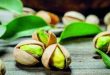 الفستق الحلبي: ذهب أخضر بطعم التاريخ وفوائد لا تُحصى
