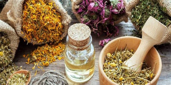 أعشاب قد تضر طفلك: قائمة بالأعشاب الممنوعة للأطفال ولماذا يجب الحذر