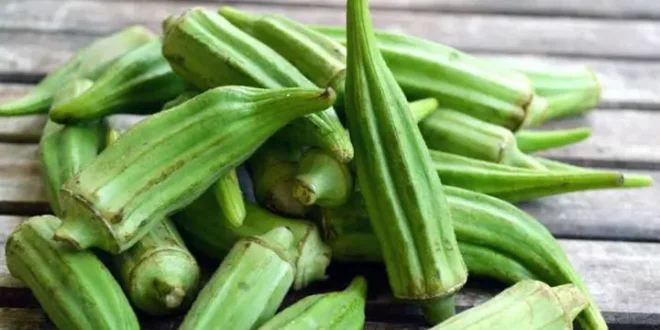 البامية.. كنز غذائي وفوائد صحية لا تُقدّر بثمن