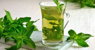 مزيج غير متوقّع.. فوائد النعنع مع الكاكاو لصحة الجسم والمزاج
