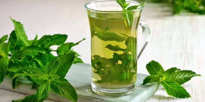 مزيج غير متوقّع.. فوائد النعنع مع الكاكاو لصحة الجسم والمزاج