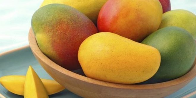 المانجو.. ملكة الفواكه الصيفية وفوائدها الغذائية المتنوعة