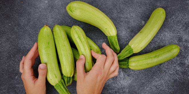 الكوسا: خضار خفيفة بفوائد غذائية كبيرة