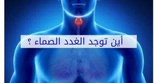 الغدد الصماء.. شبكة هرمونية تتحكم في الجسم