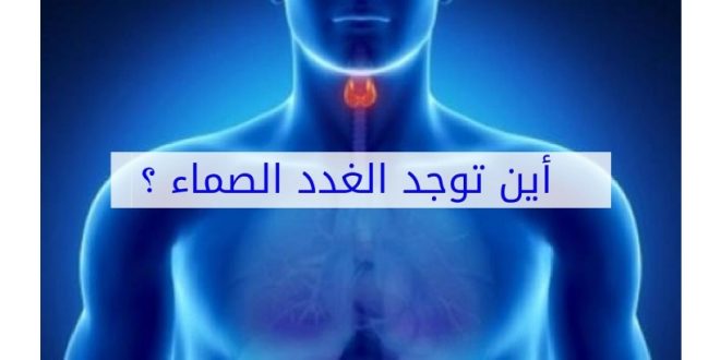 الغدد الصماء.. شبكة هرمونية تتحكم في الجسم